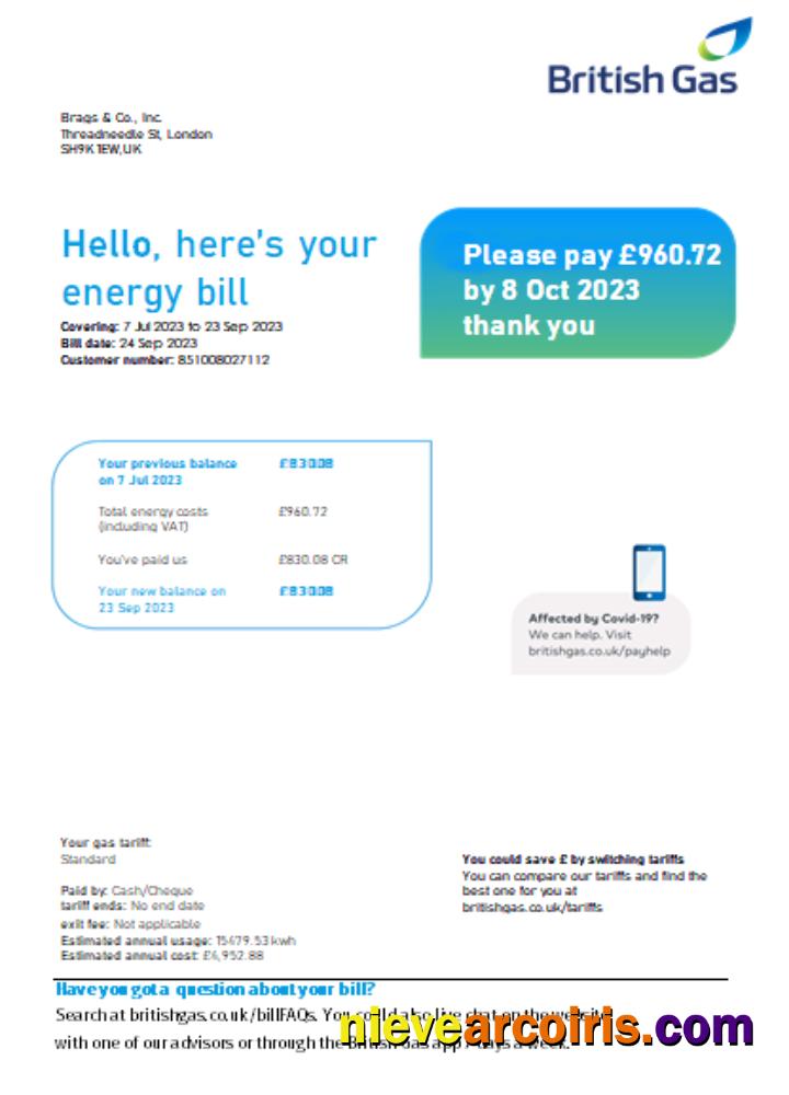 British Gas Energy utility business bill page 1
